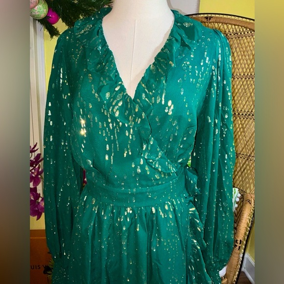 Lilly Pulitzer NWT Birdy Silk Wrap Dress Evergreen Fish Clip $328 Size 10,12 - Picture 6 of 10